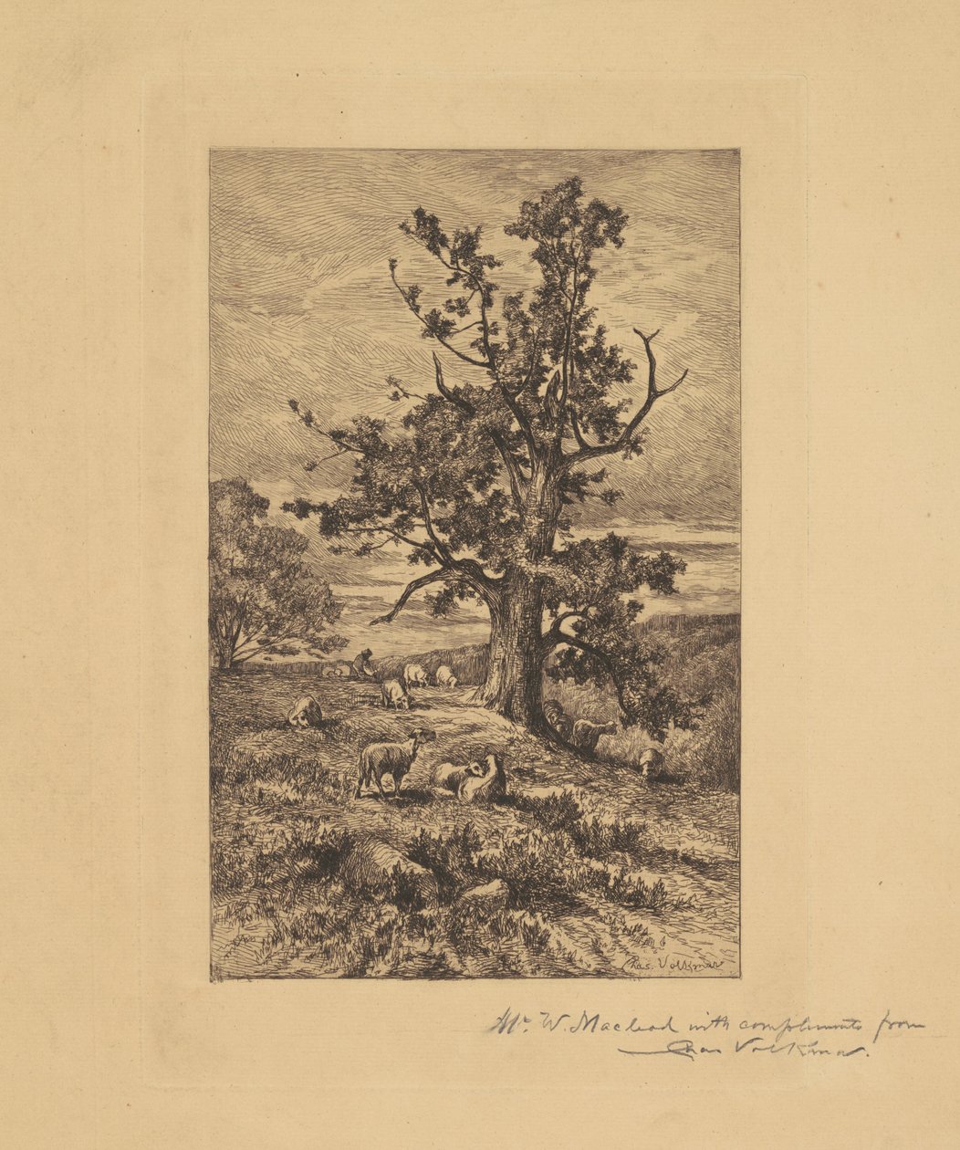 Paisagem com ovelhas de Charles Volkmar