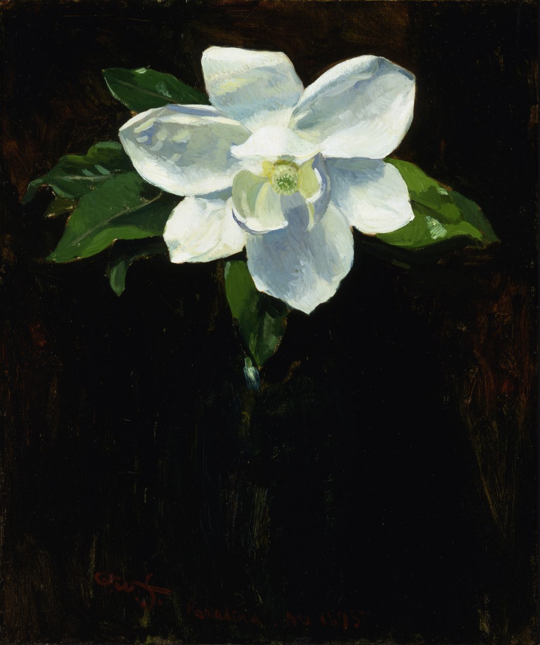 Magnólia, 1895. de Charles Walter Stetson