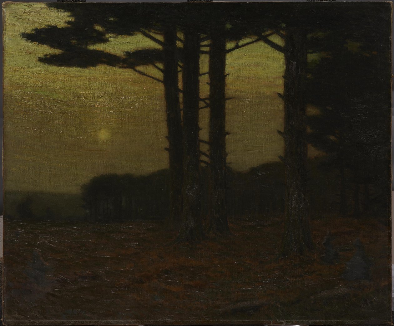 As Sentinelas de Charles Warren Eaton
