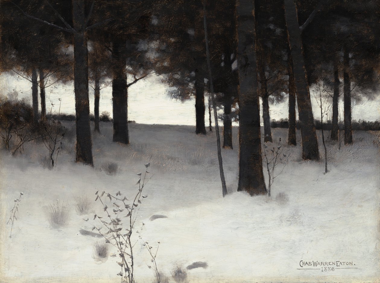 Bosques no inverno, 1886. de Charles Warren Eaton