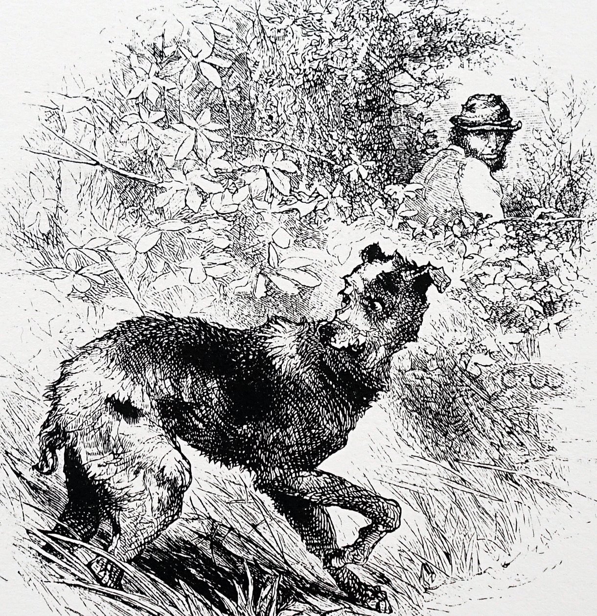 Um caçador furtivo com o seu lurcher de Charles Whymper