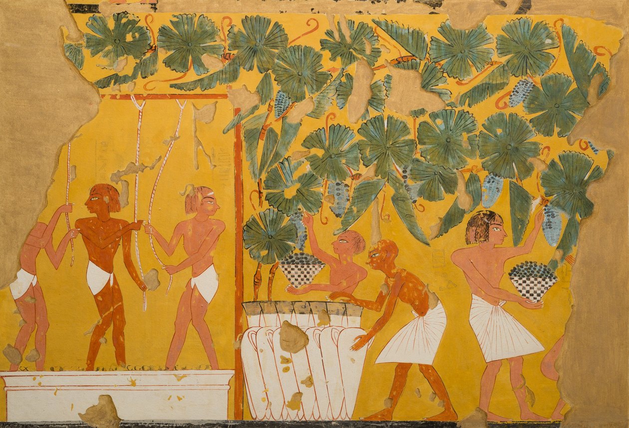 Vinificação, Tumba de Ipuy (têmpera sobre papel) de Charles Wilkinson