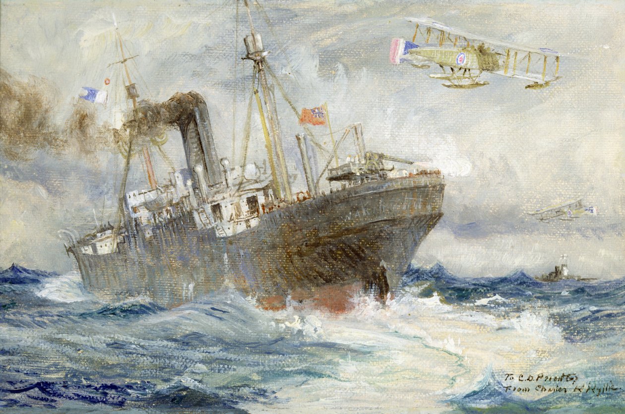 Envolvendo o Inimigo de Charles William Wyllie