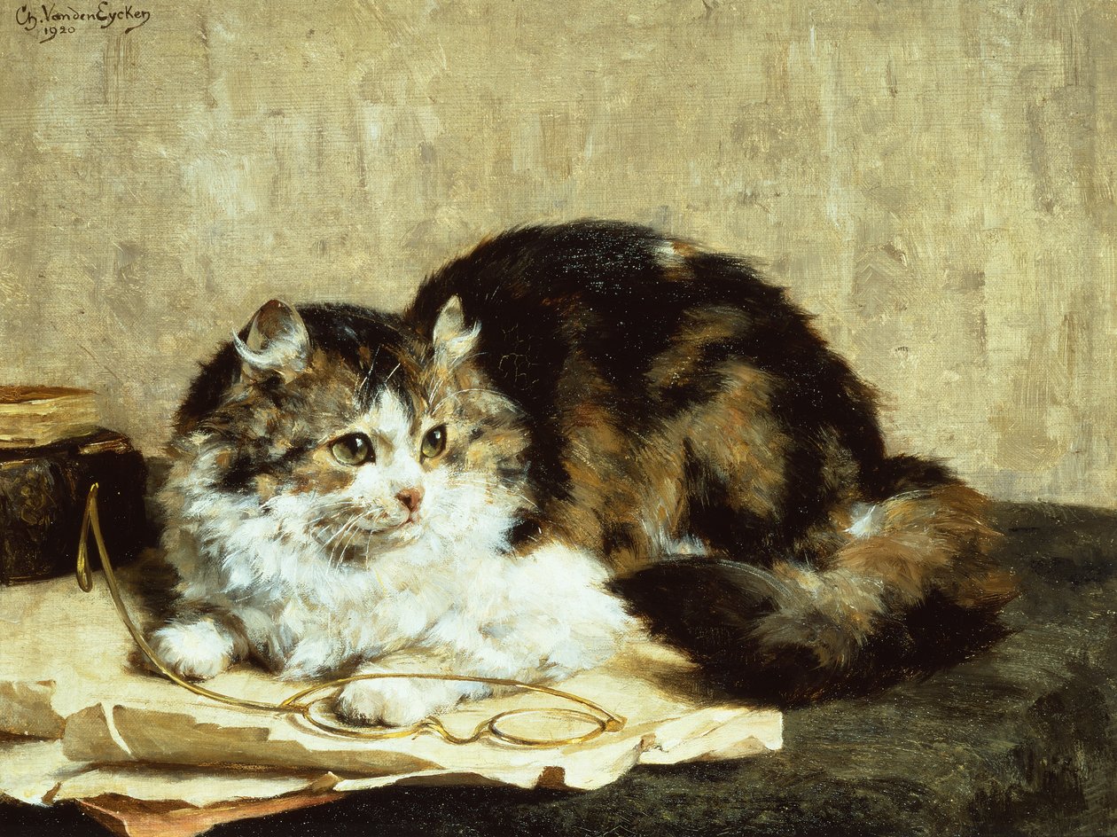 Um gato tabby de Charles van den Eycken