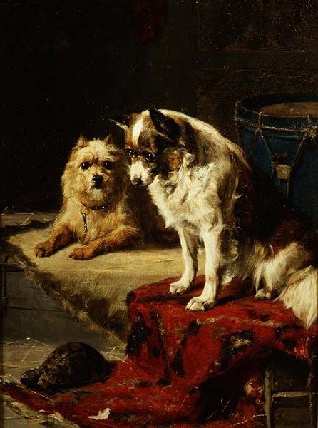 Cães e uma Tartaruga de Charles van den Eycken