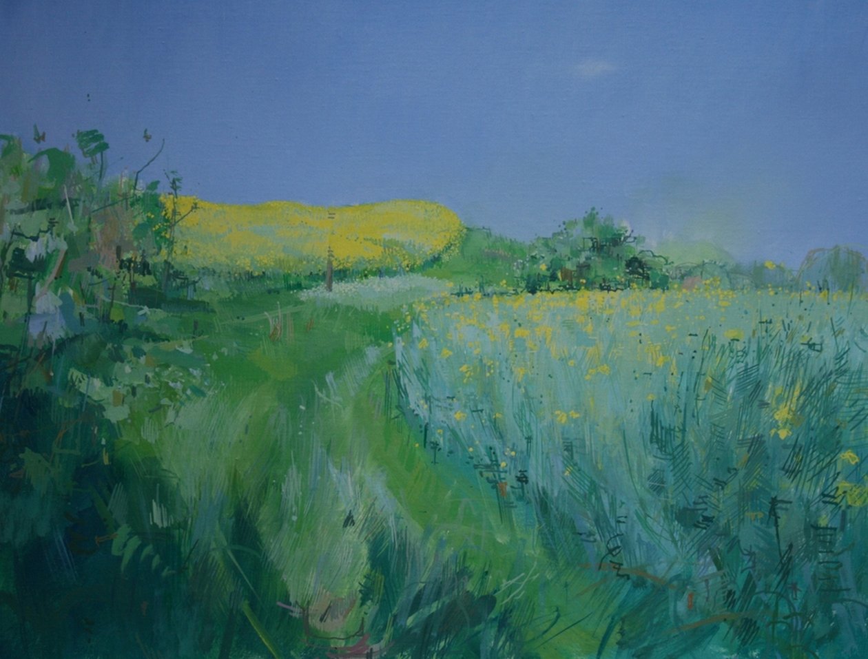 Maio de Charlie Millar