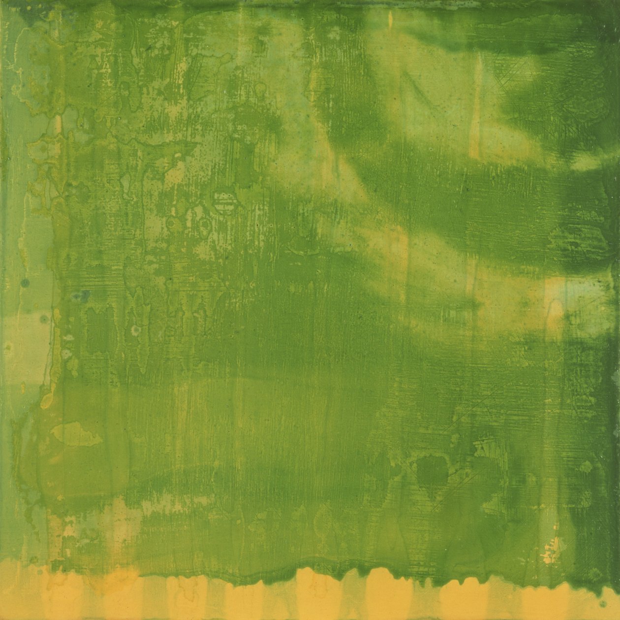 Bluerine Green, 1997 (óleo e esmalte na placa gesso) de Charlotte Johnstone