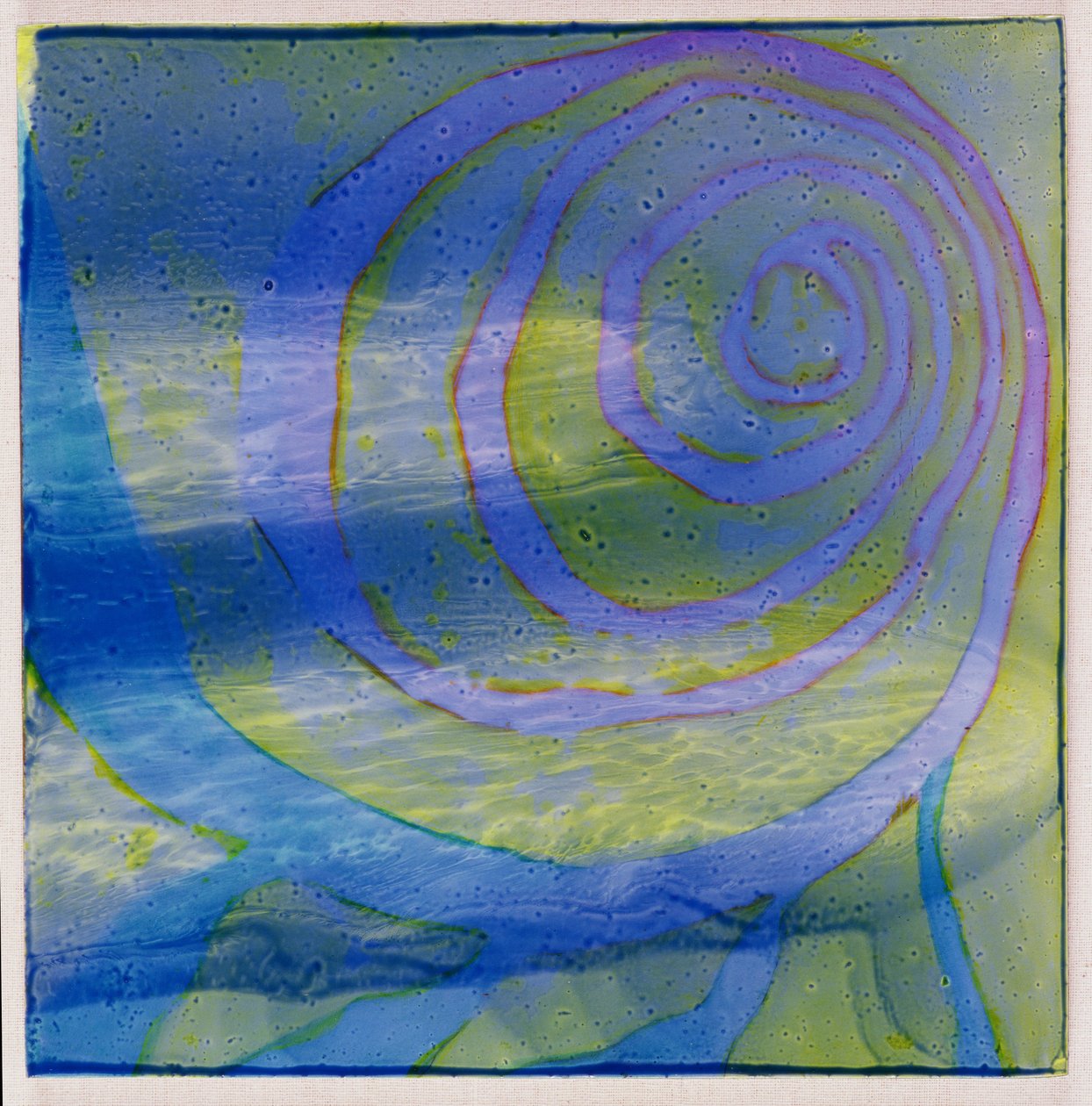 Boodhoo Lagoon, 2000 (óleo no gesso) de Charlotte Johnstone