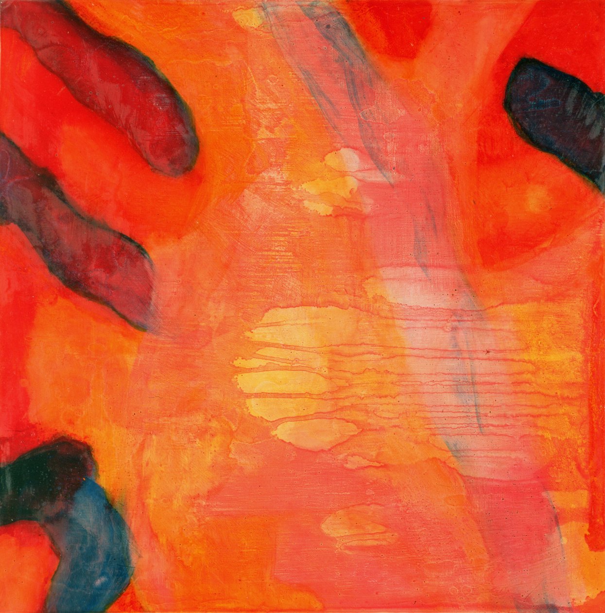 Peixe-palhaço II, 1997 (óleo e esmalte na placa gesso) de Charlotte Johnstone