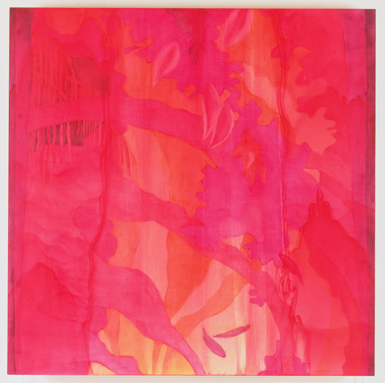 Mascarene Maya, 2000 (óleo no gesso) de Charlotte Johnstone