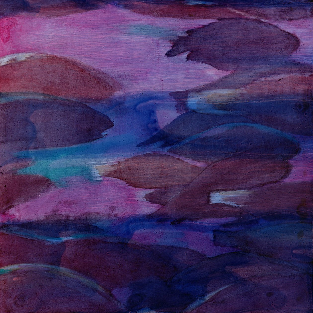 Papagaios roxos VI, 2000 (óleo no gesso) de Charlotte Johnstone