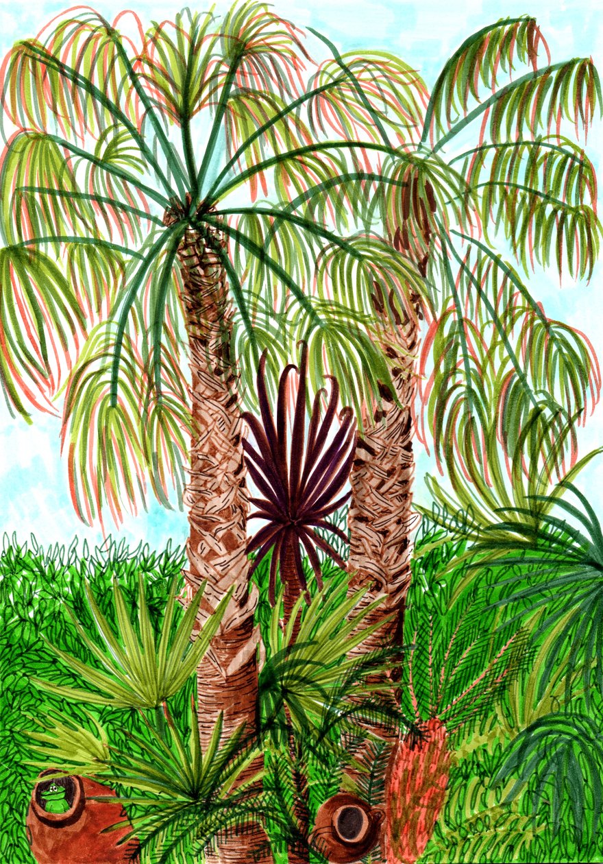 Barcelona Palms, 2017 (canetas) de Charlotte Orr