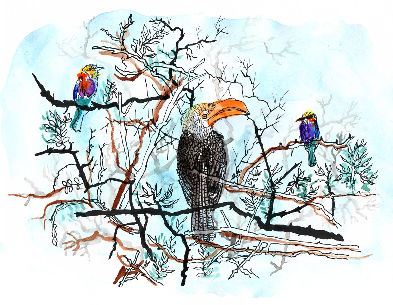 Bird in Tree, 2018 (caneta, tinta e aquarela) de Charlotte Orr