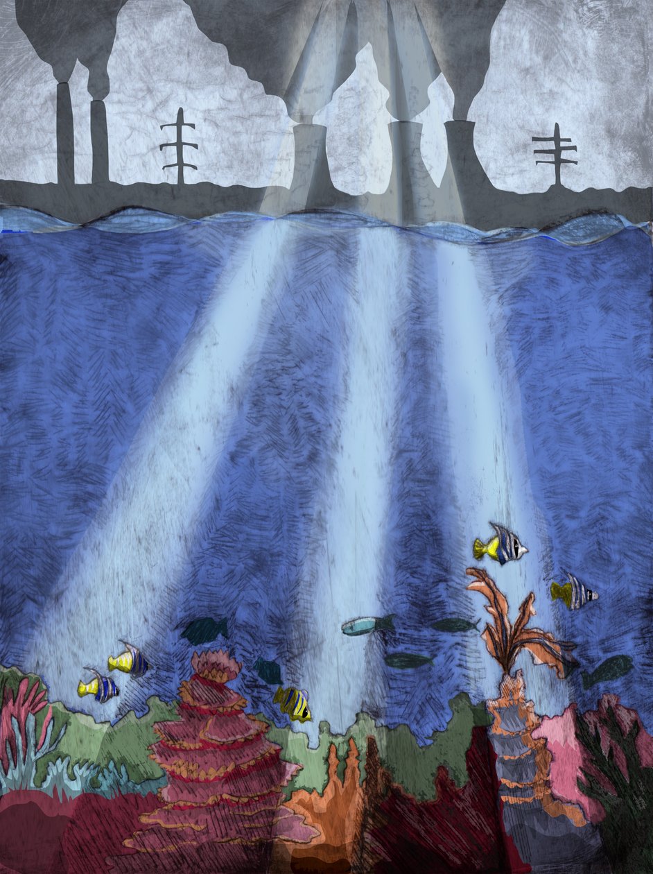Coral Reef, 2013 (gravura a ponto seco e digital) de Charlotte Orr