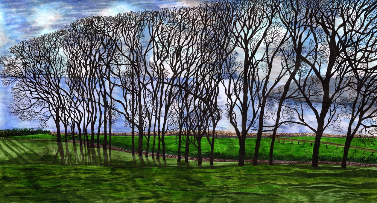 Cushendun, Irlanda do Norte, 2020 de Charlotte Orr