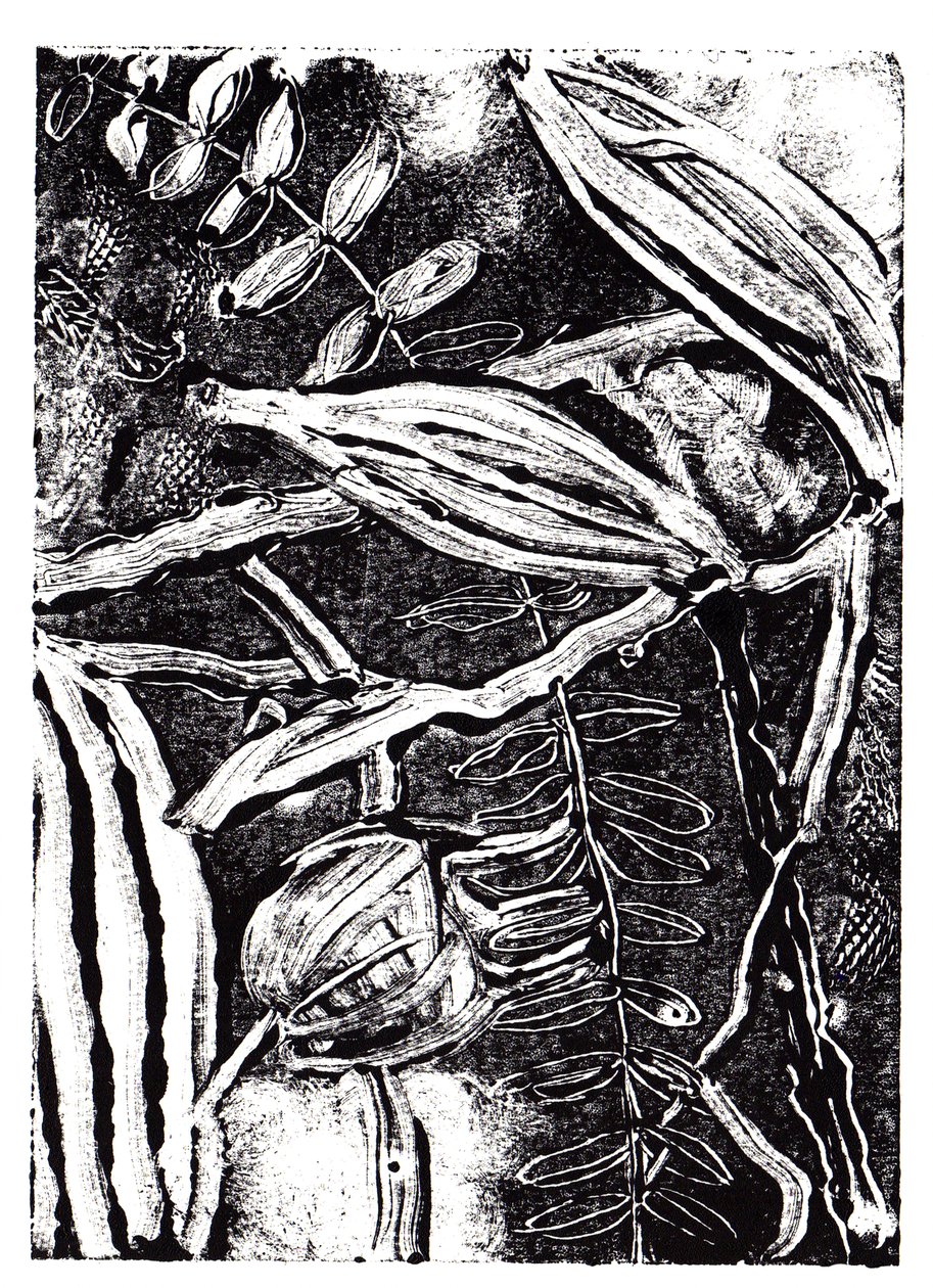 Inky Plants, 2019 (monoprint) de Charlotte Orr