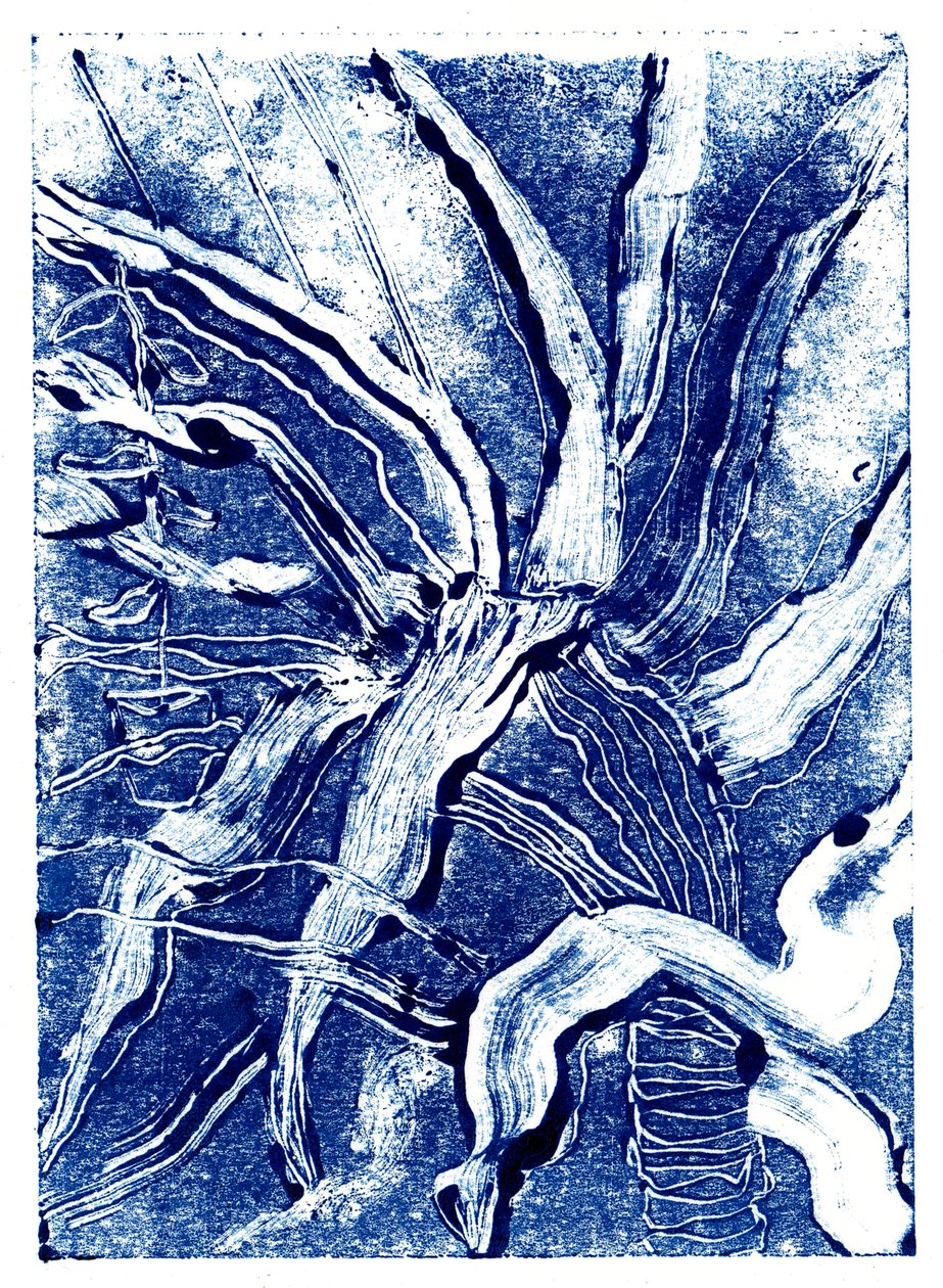 Inky Plants nº 2, 2019 (monoprint) de Charlotte Orr