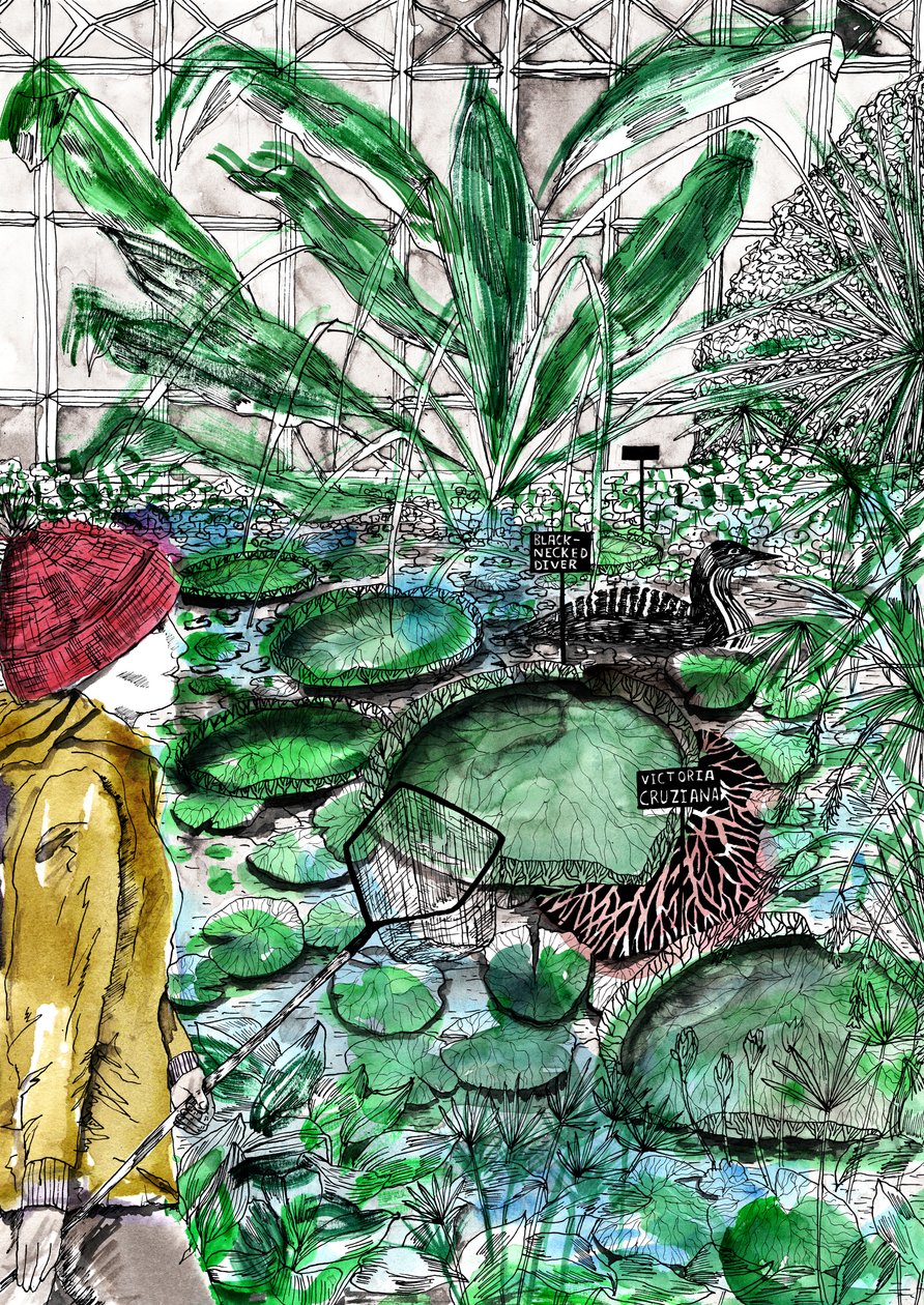 Jardim Botânico de Oxford, 2020 de Charlotte Orr