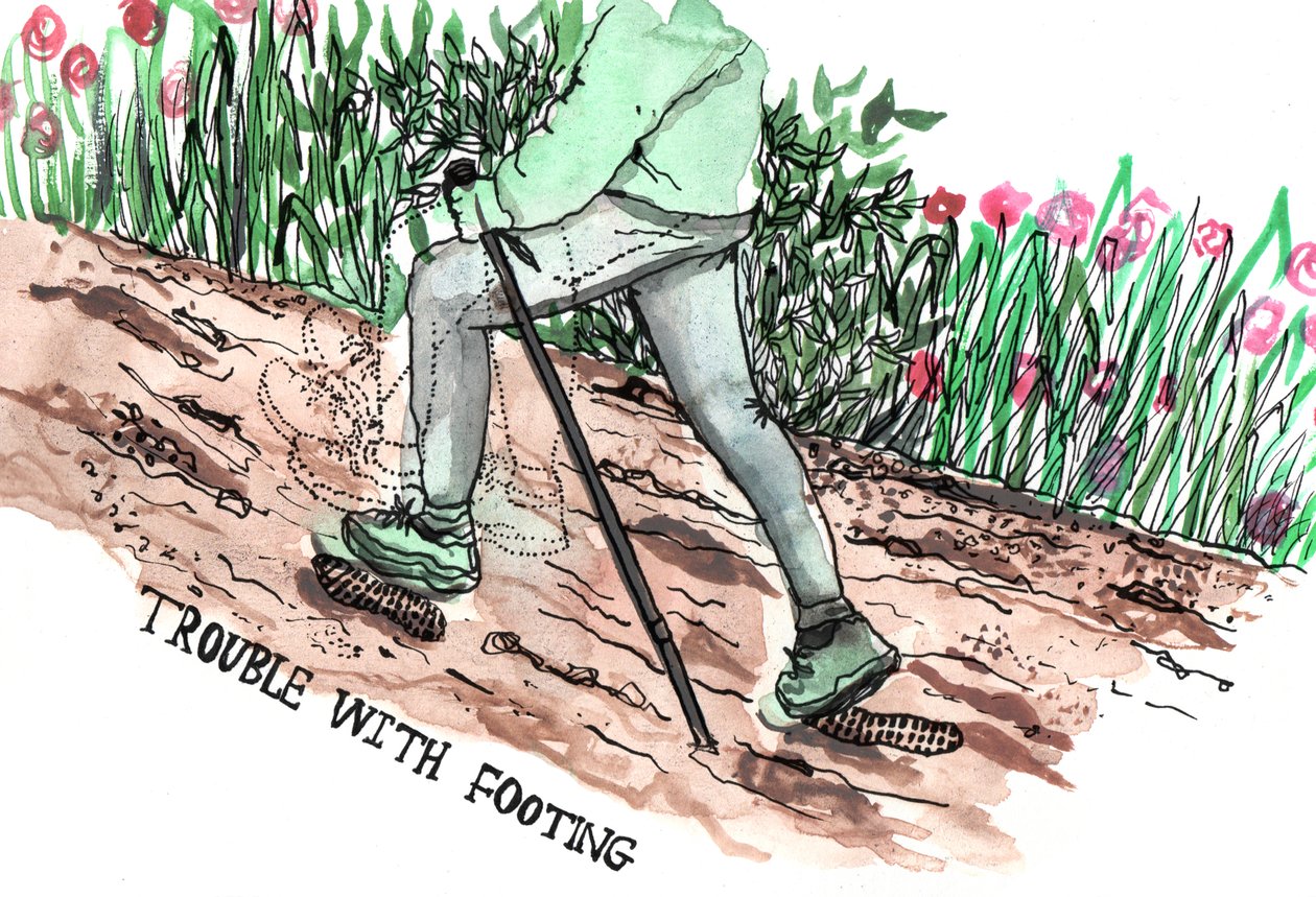 Ilustrações Parkinsons, 2019 (tinta e aquarela) de Charlotte Orr