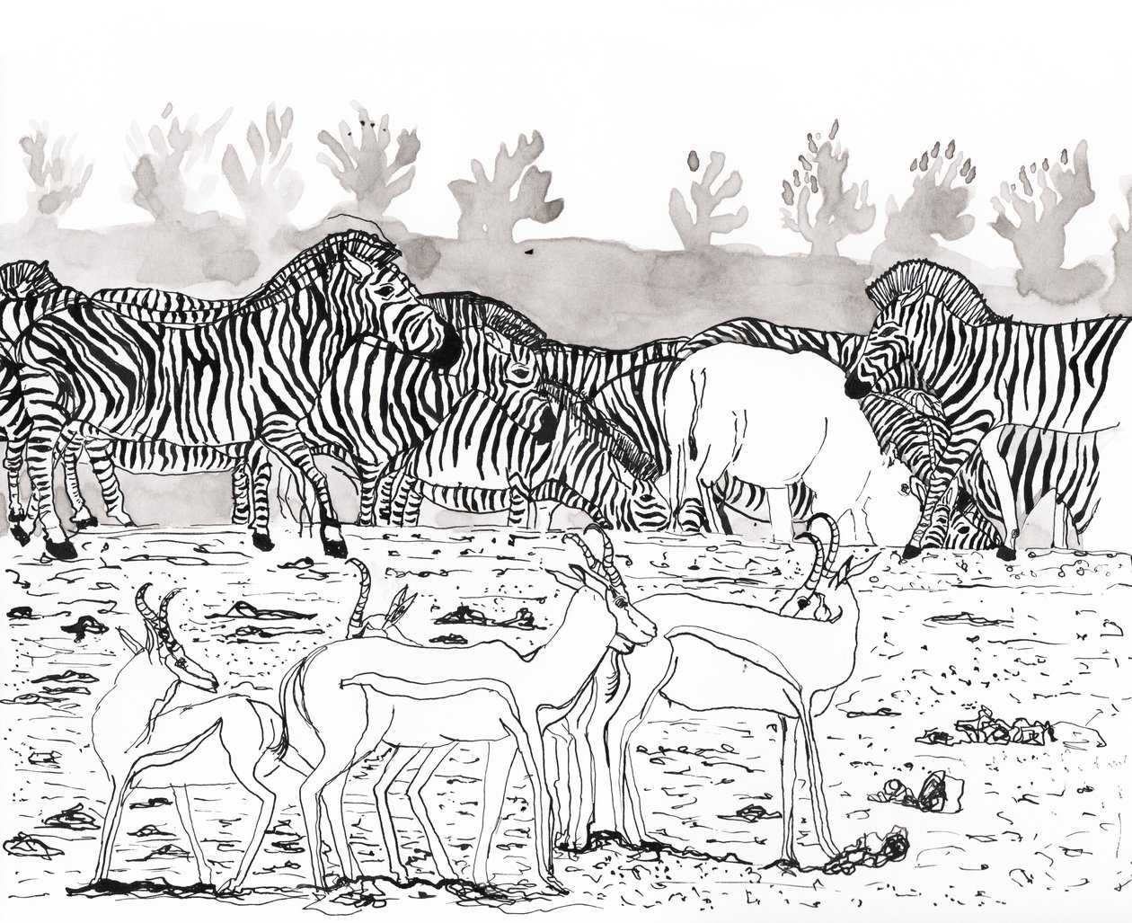 Safari 3, 2018 (tinta e aquarela) de Charlotte Orr