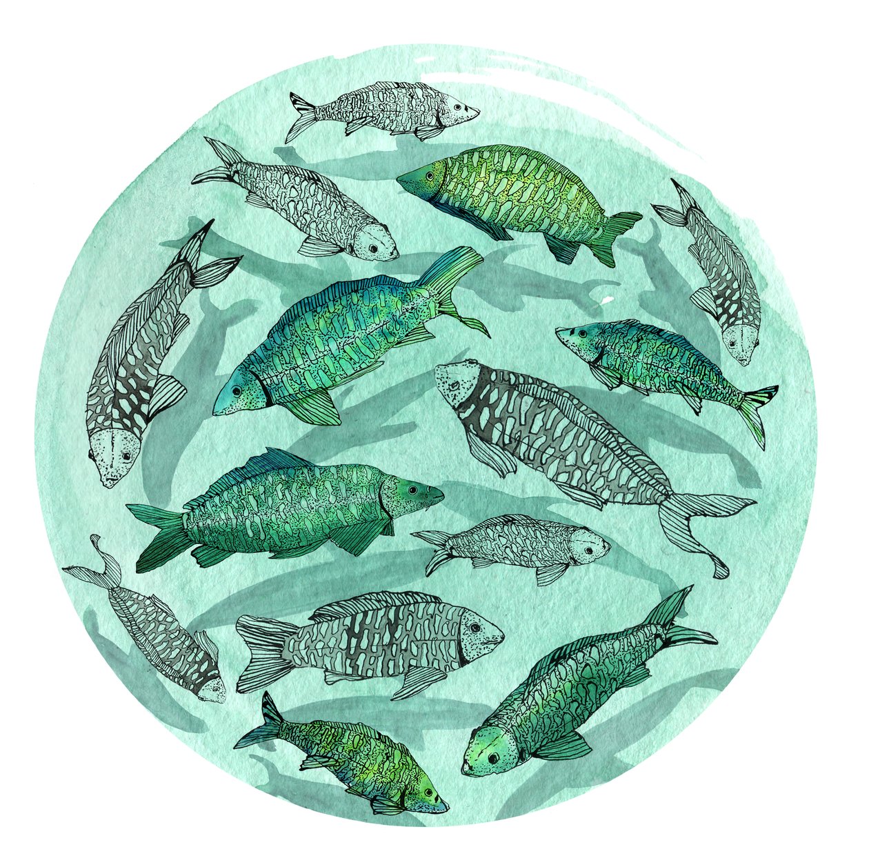 Small Fish Big Pond, 2018 (caneta e tinta, aquarela e digital) de Charlotte Orr