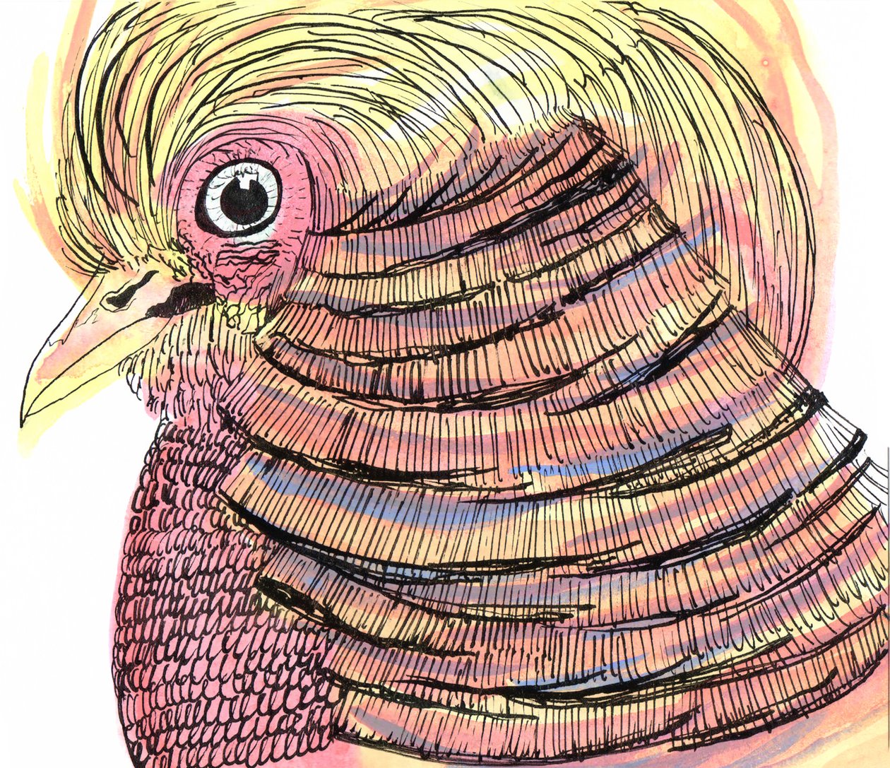 Tropical Bird, 2018 (caneta, tinta e aquarela) de Charlotte Orr