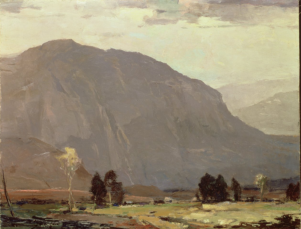Bald Mountain, Tennessee (óleo sobre tela) de Chauncey Foster Ryder