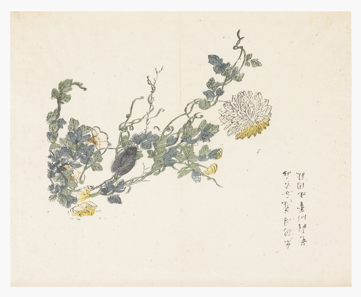 Jardim de sementes de mostarda de Chen Chung Jan (after)