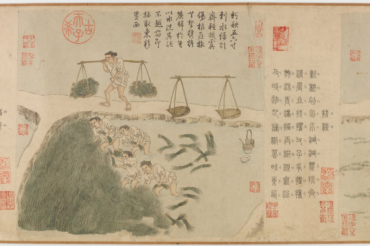 Cultivo de Arroz, Dinastia Yuan (tinta e cor sobre papel) de Cheng Qi