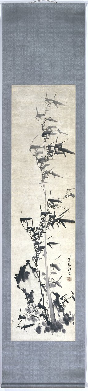 Bambu de Chiang Ting