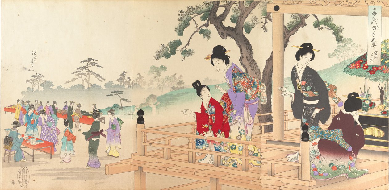 Álbum de Mulheres do Castelo de Chiyoda, 1895., 1895. de Chikanobu Yoshu