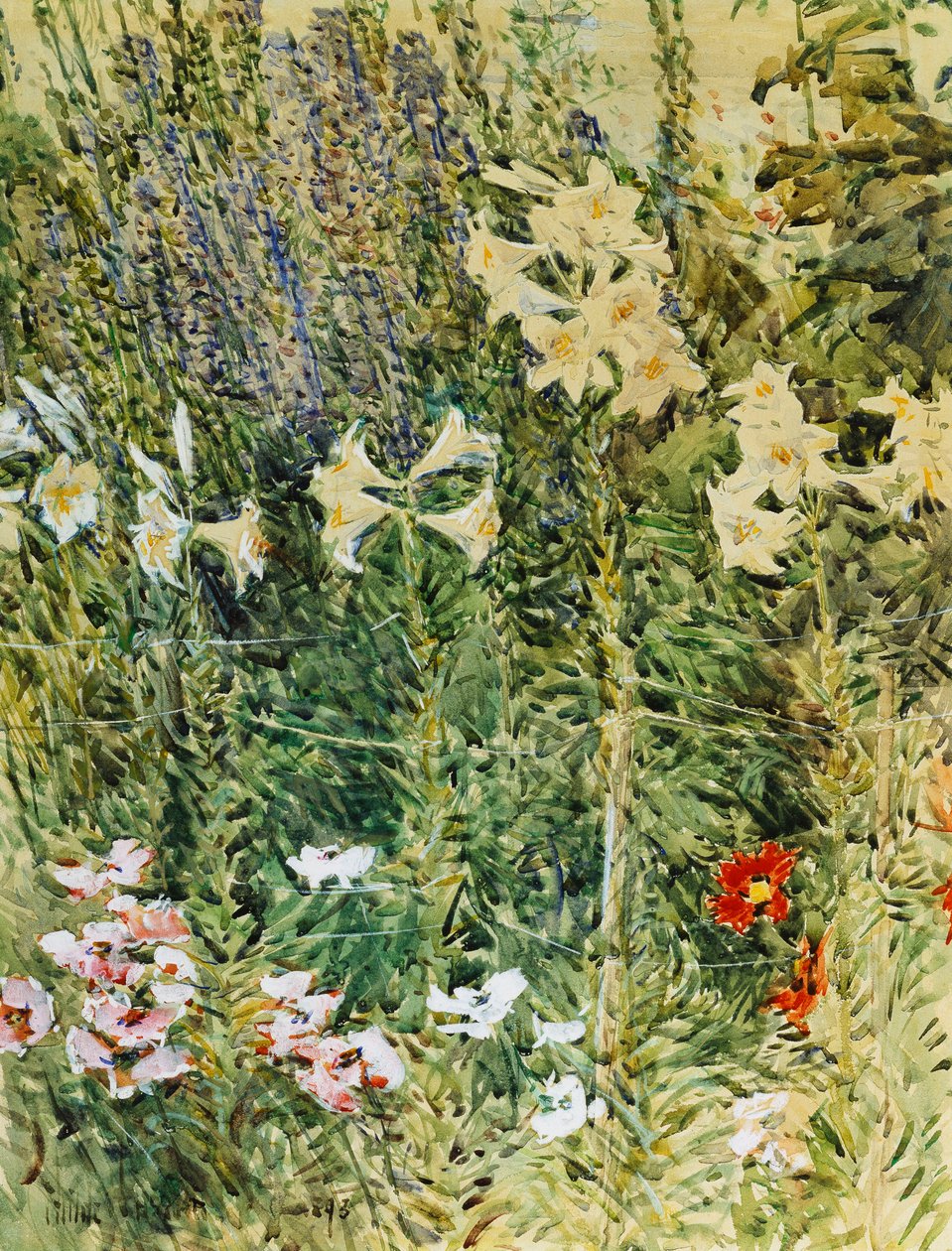 Larkspurs e Lillies de Childe Frederick Hassam