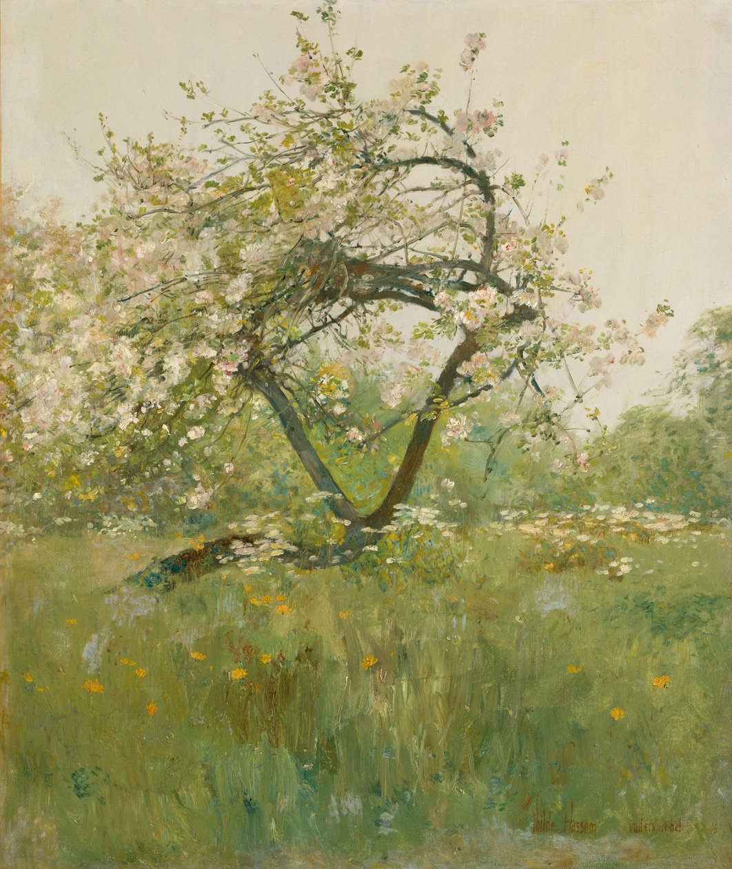 Flores de pêssego, Villiers-le-Bel de Childe Frederick Hassam