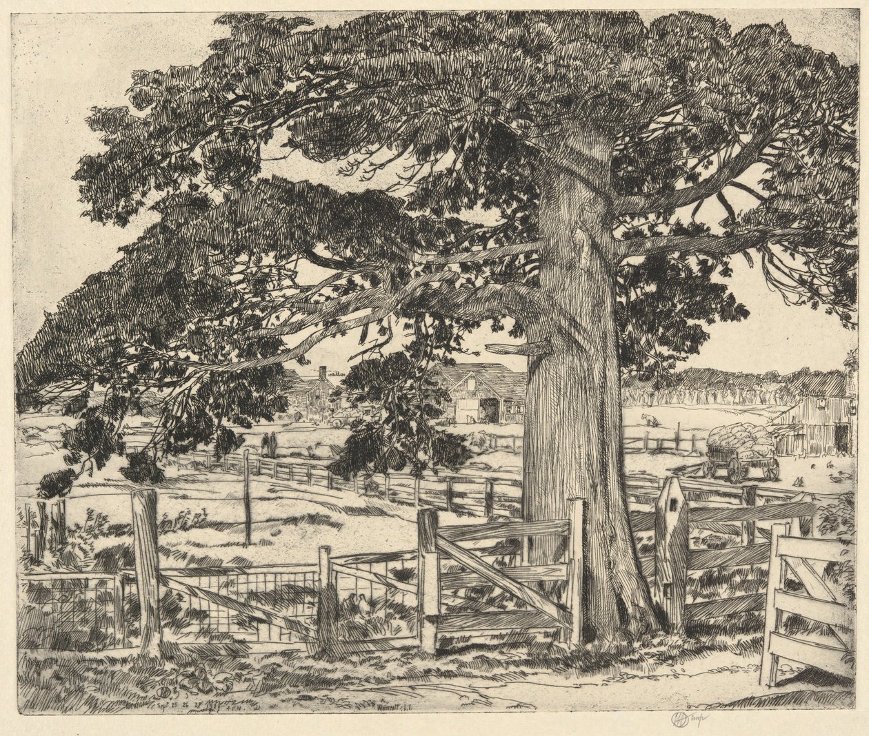 Big Cedar, Wainscott, L. I., 1929 de Childe Hassam