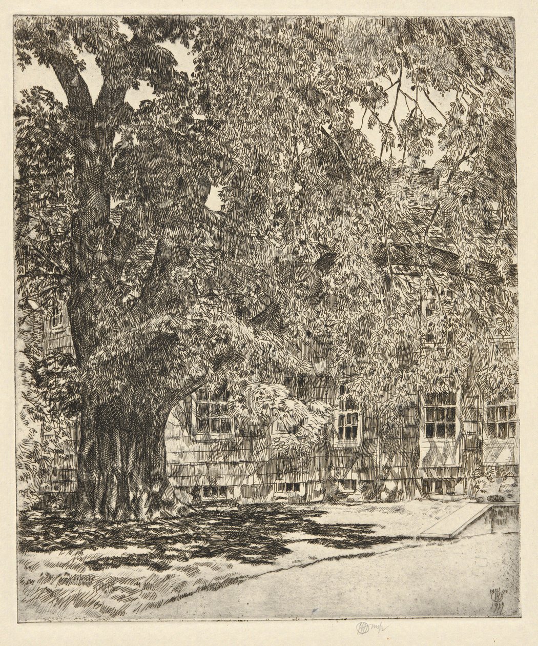Olmo Gigante, 1929 de Childe Hassam
