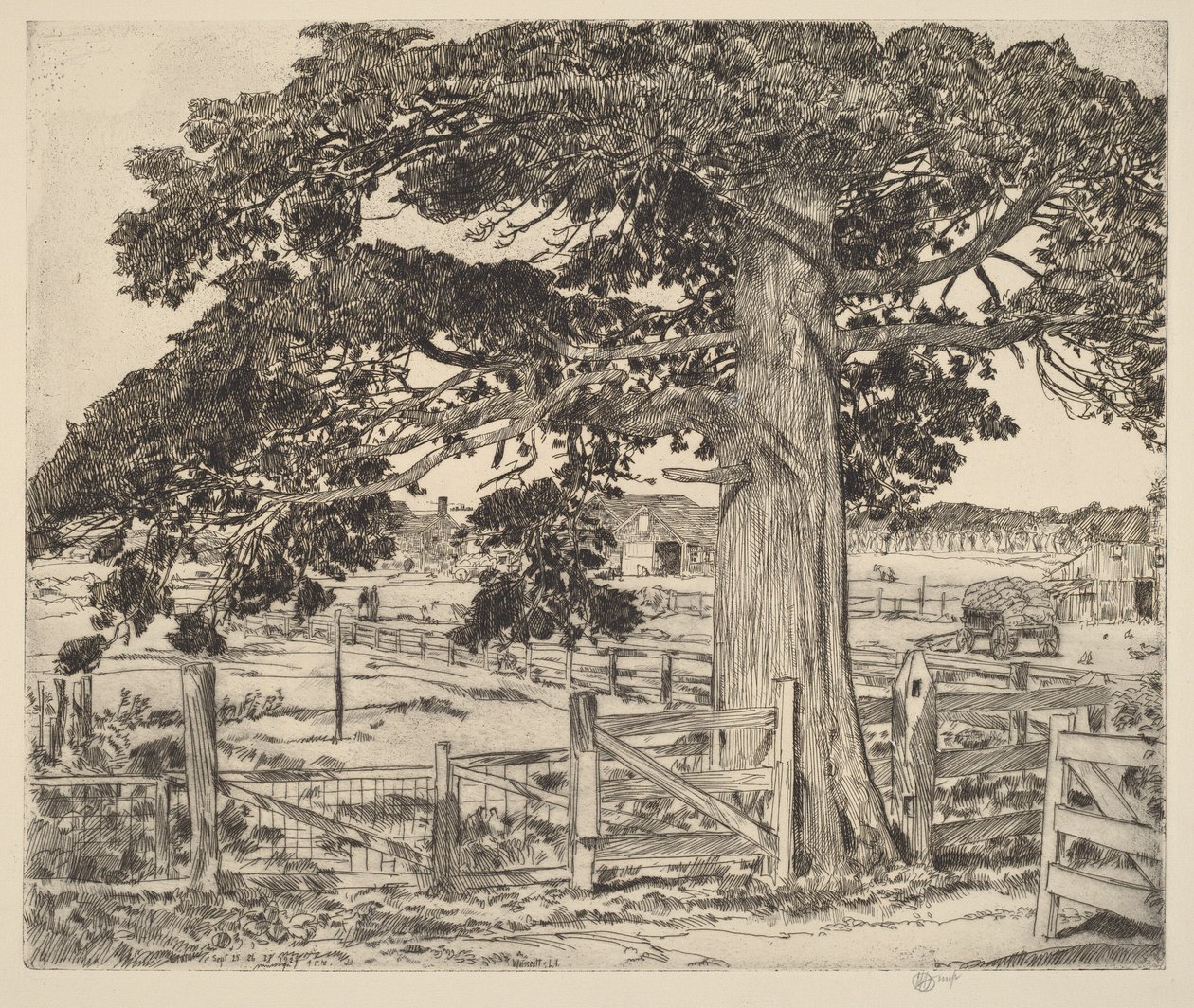 O grande cedro de Childe Hassam