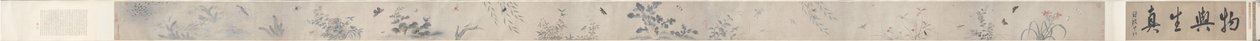 insetos e flores de China, Qing dynasty