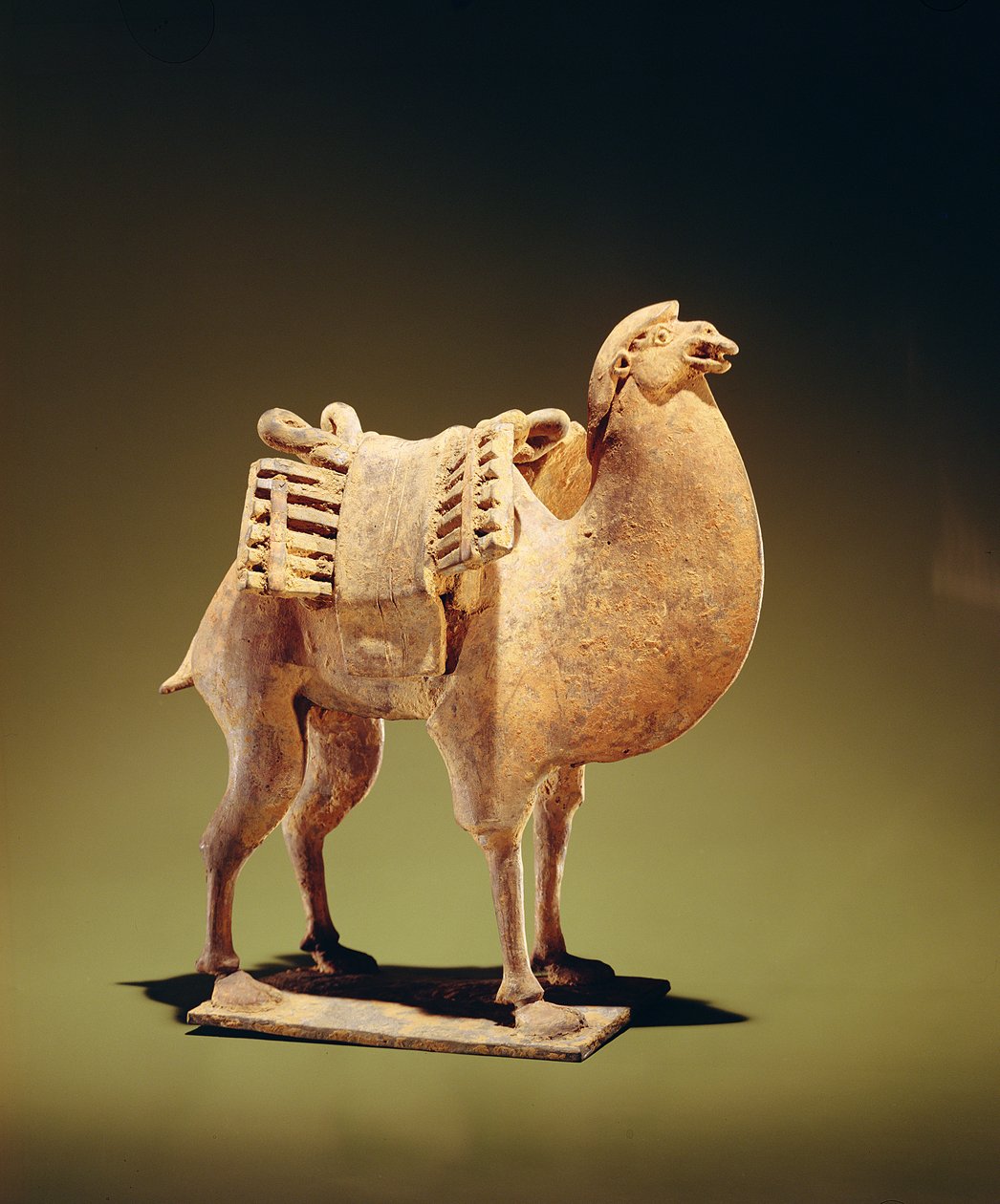 Camelo, meados ao final do século VI, Northern Wei (386-534) - Dinastia Qi do Norte (550-77) (louça de barro) (ver também 394830) de Chinese School