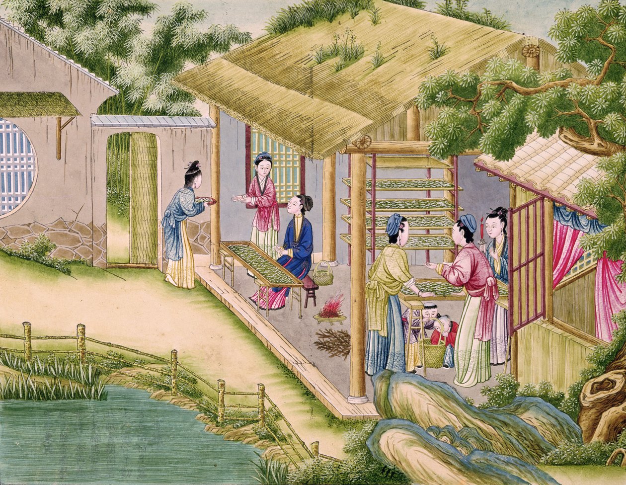 Ms 202 fol.2 Aprendendo sobre bichos-da-seda, de um livro sobre a indústria da seda de Chinese School