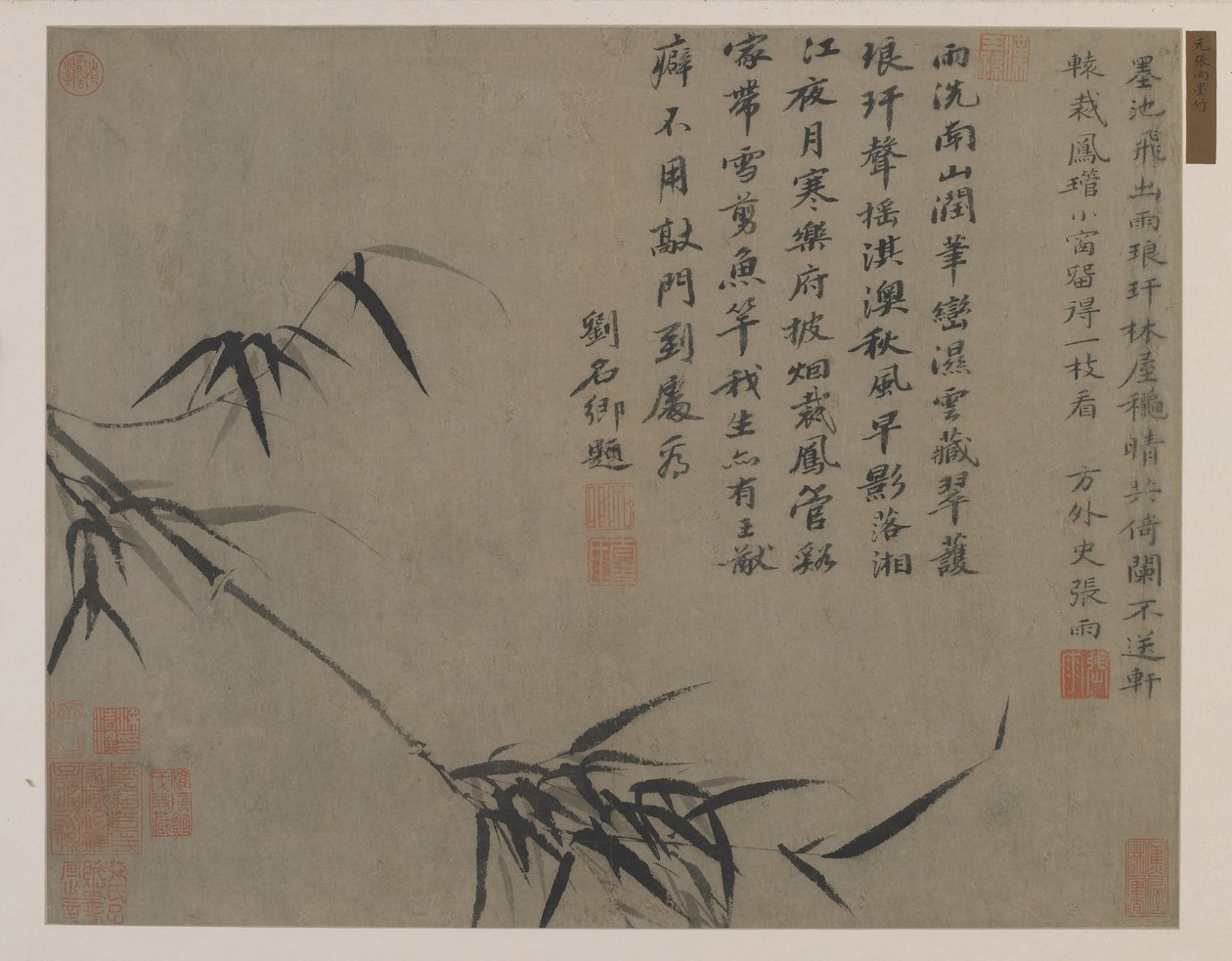 Um spray de bambu, possivelmente dinastia Qing (tinta sobre papel) de Chinese School