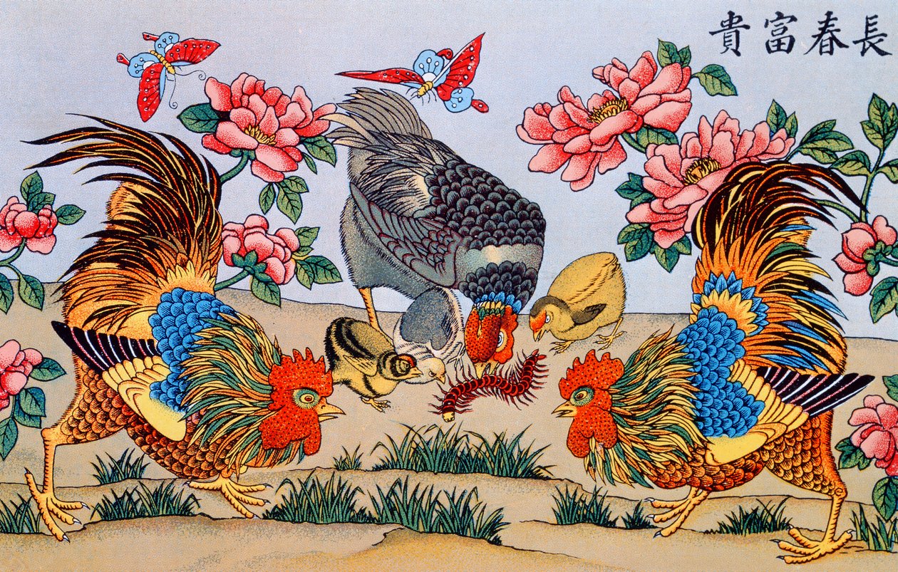 Galo matando um centopéia, ilustração de pesquisa sobre superstições na China, publicada em Xangai por Imrimerie of the Catholic Mission, 1929 de Chinese School