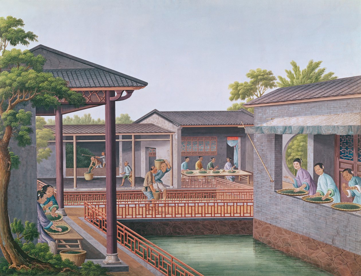 Chá de classificação (wc no papel) de Chinese School