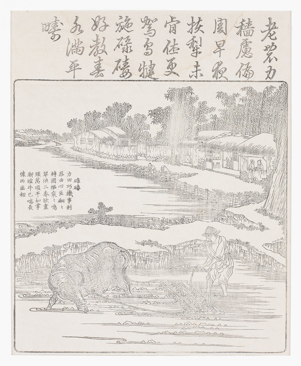 Roendo o arrozal, século 18 de Chinese School
