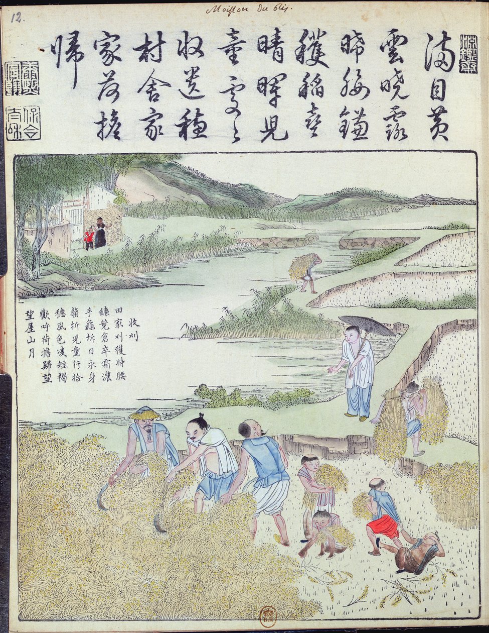 Colheita, a cultura do arroz na China (impressão em xilogravura a cores) de Chinese School