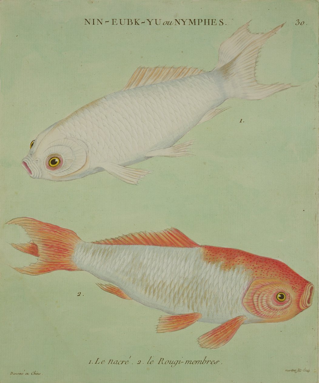 O Nácar, os membros de Rougi, gravados por Francois Nicholas Martinet (1731-p.1796) (impressão) de Chinese School