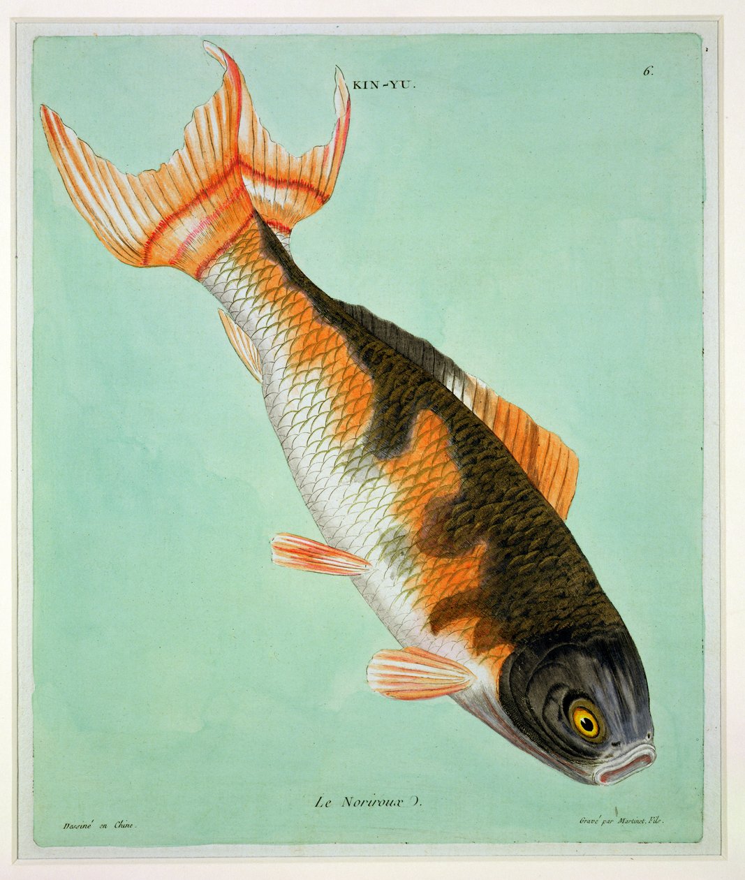 Le Noriroux, gravado por Francois Nicholas Martinet (1731-p.1796) (versão impressa) de Chinese School