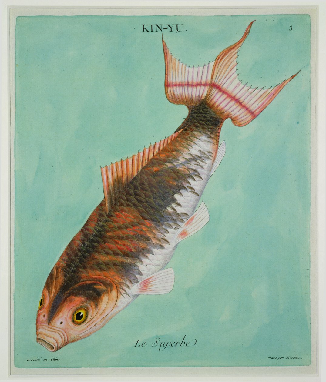 O soberbo, gravado por Francois Nicholas Martinet (1731-p.1796) (impressão) de Chinese School
