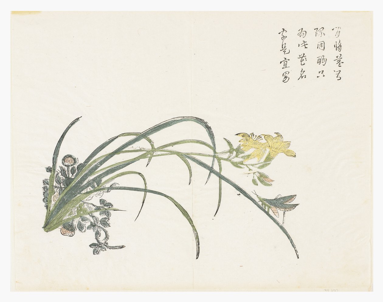Jardim de Sementes de Mostarda de Chinese School