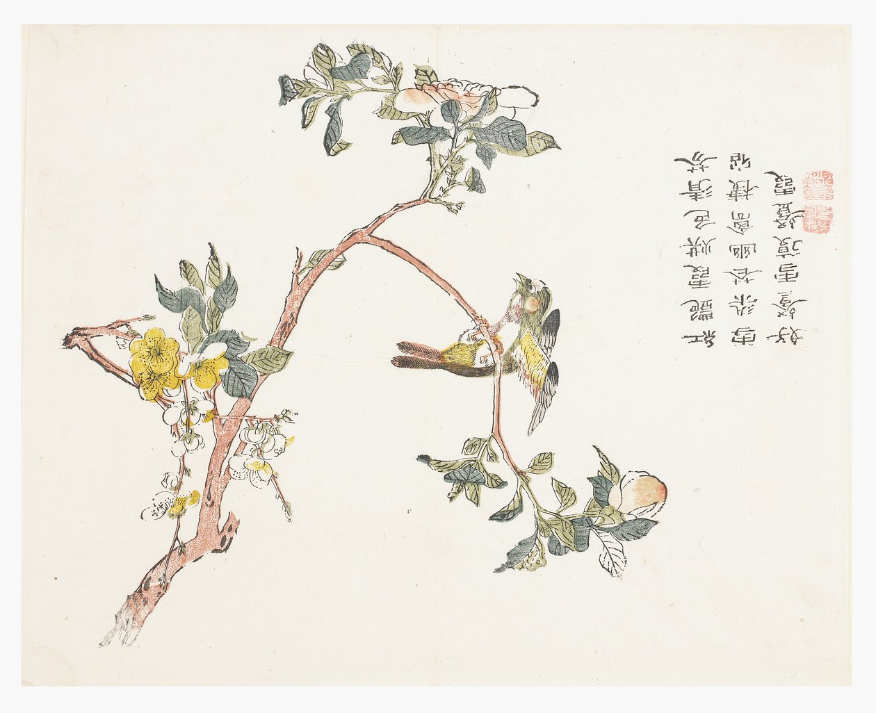 Jardim de Sementes de Mostarda de Chinese School