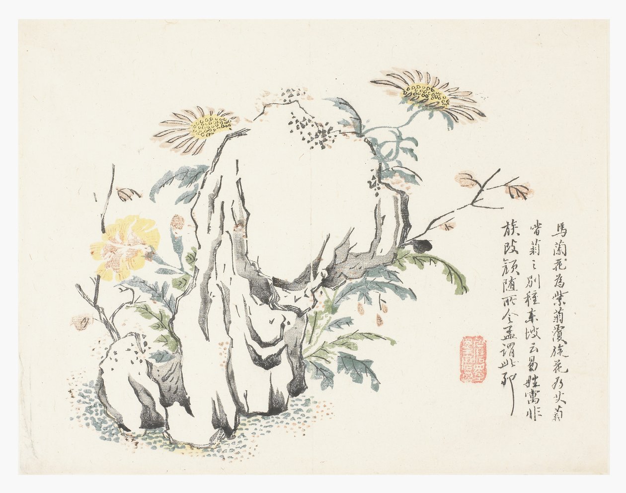 Jardim de Sementes de Mostarda de Chinese School